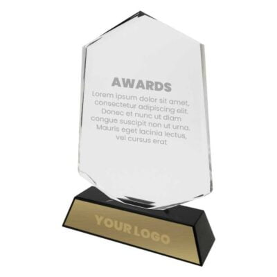 Custom Crystal Trophy Awards for Employee Gifting Laser Printed