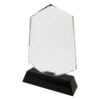 Custom Crystal Trophy Awards for Employee Gifting Laser Printed