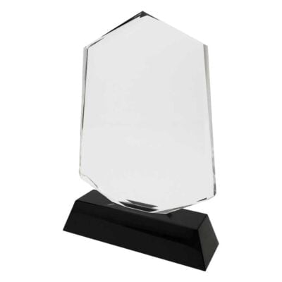 Custom Crystal Trophy Awards for Employee Gifting Laser Printed