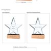 Star Shaped Crystal Awards with Wooden Base