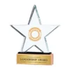 Custom Printed Corporate Trophies Star Shaped