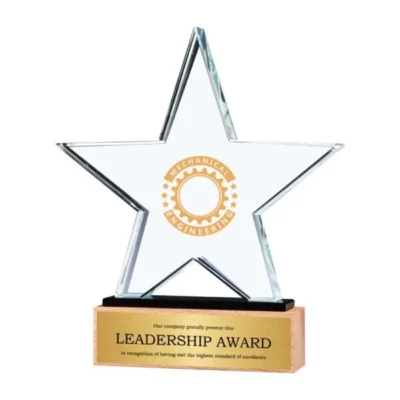 Custom Printed Corporate Trophies Star Shaped